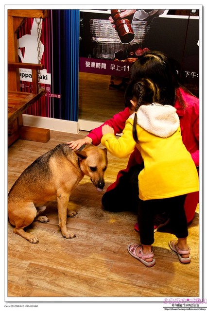 晶饌鐵板創料理：【美食♥宜蘭】☼ 晶饌創意鐵板燒料理☼ 新鮮高級的食材，優雅高貴的氛圍，華麗的美食享受♥♥