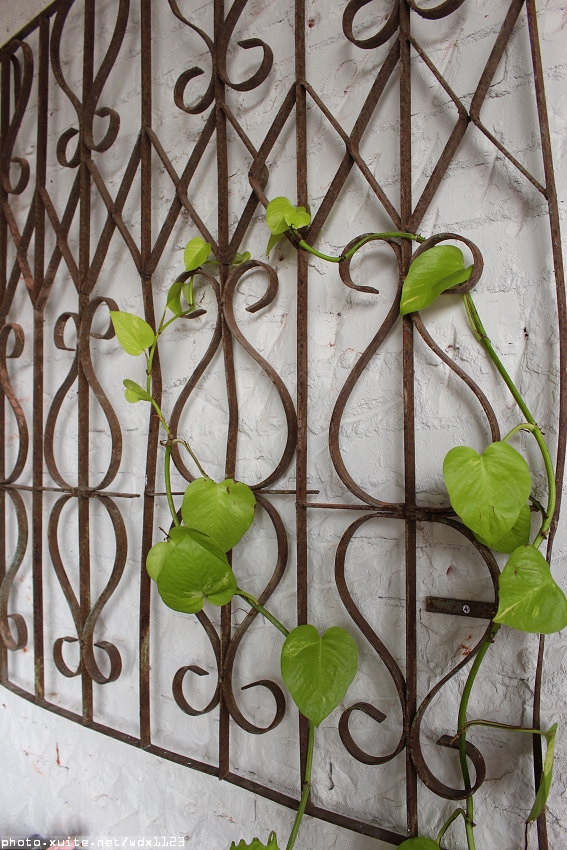 Meet Road麋路咖啡輕食坊：Meetroad麋路咖啡輕食坊✪讓人遠離塵囂+放鬆悠閒的好去處~104.03.03