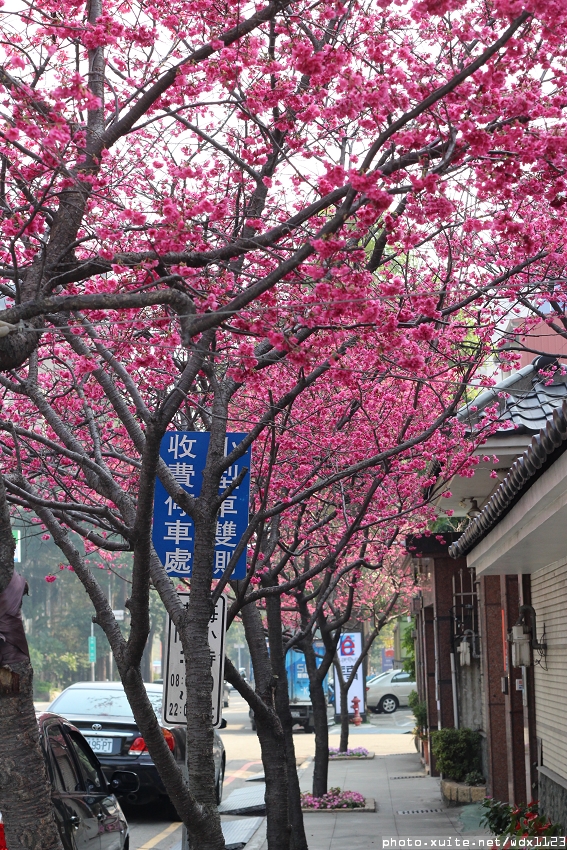 Meet Road麋路咖啡輕食坊：Meetroad麋路咖啡輕食坊✪讓人遠離塵囂+放鬆悠閒的好去處~104.03.03
