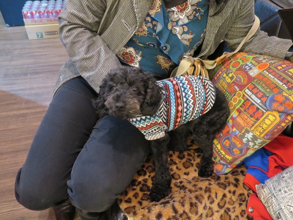 崔記茶餐廳：崔記茶餐廳...  曄!!!  咁多料～