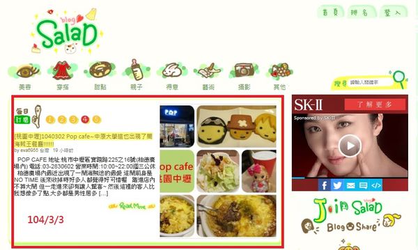 SALAD BLOG 1040303[1].jpg