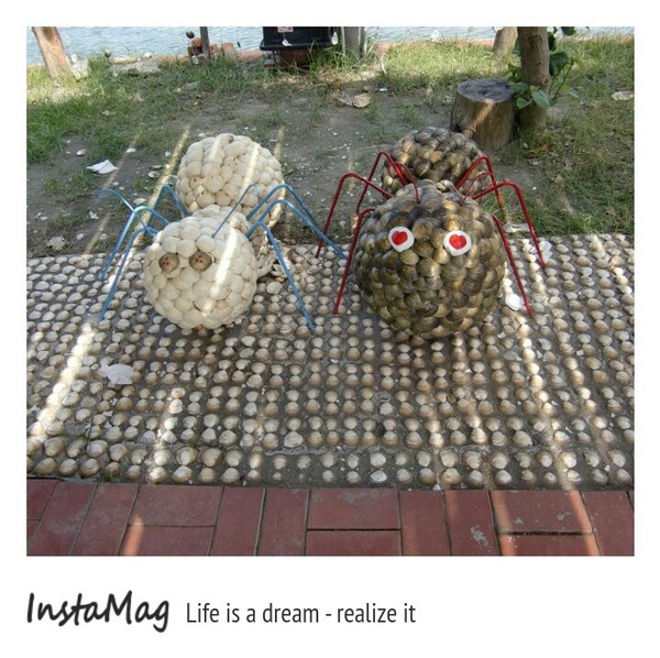 馬蹄蛤主題館：馬蹄蛤主題館