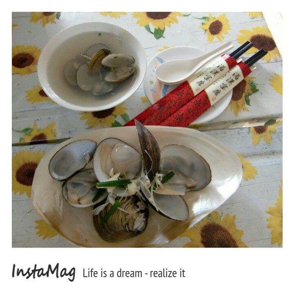 馬蹄蛤主題館：馬蹄蛤主題館