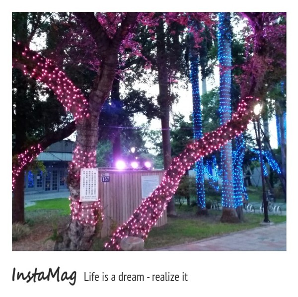 2015台灣燈會｜光之谷大里文創聚落燈會(台中場)：【台中景點】台中大里文創聚落