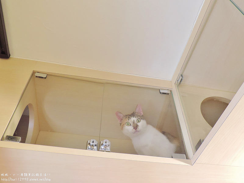 DSCN3984 (2000x1500)