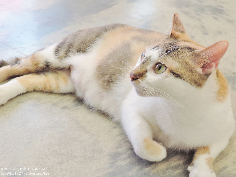 DSCN4010 (2000x1500)