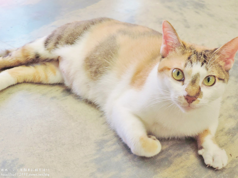 DSCN4011 (2000x1500)