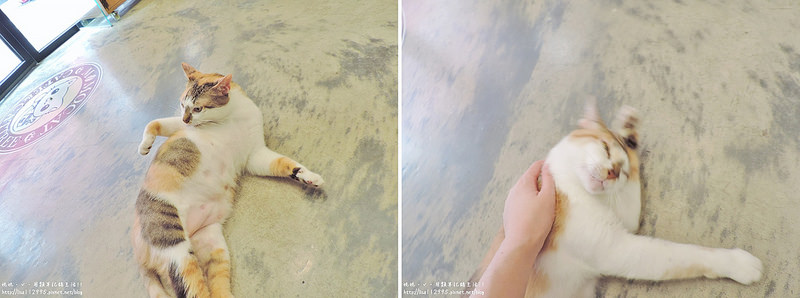 DSCN4020-horz (2000x747)