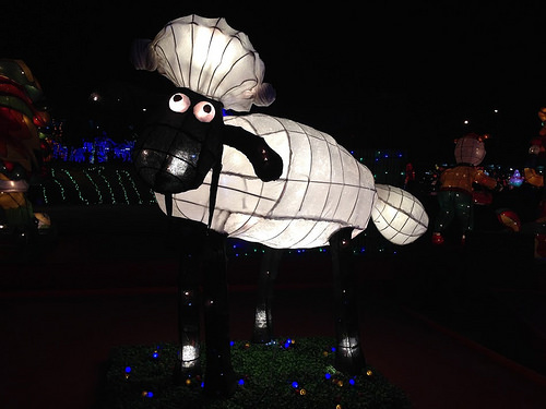 20150305台中燈會 - 84