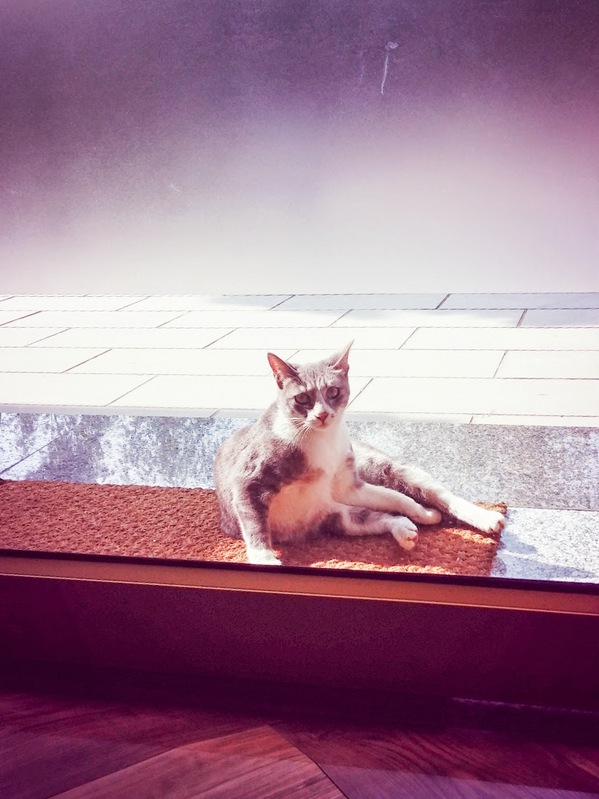 GEMI Cafe：桃園市桃園區 [Gemi cafe 袋鼠咖啡] 澳洲渡假瘋咖啡館