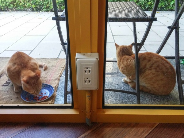 GEMI Cafe：桃園市桃園區 [Gemi cafe 袋鼠咖啡] 澳洲渡假瘋咖啡館