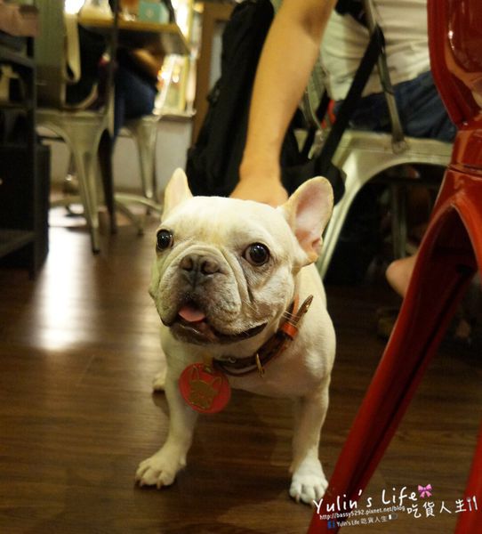 南西六號公寓 Nancy No.6 Apt. Cafe：南西六號公寓 ♥ 中山巷弄咖啡館 ♥ 台北必吃鐵鍋鬆餅 ♥ 與可愛店狗Peko一起享受美好時光