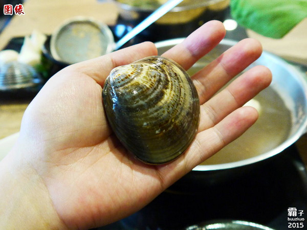 團緣精緻鍋物:團緣精緻鍋物,鮑魚送上桌時還是活跳跳的捏!