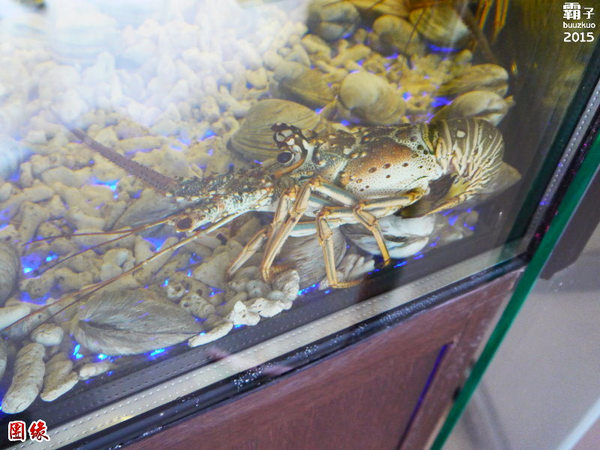 團緣精緻鍋物:團緣精緻鍋物,鮑魚送上桌時還是活跳跳的捏!