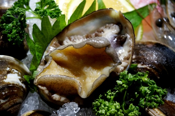 團緣精緻鍋物：[內湖] 團緣精緻鍋物：不可錯過的活海鮮