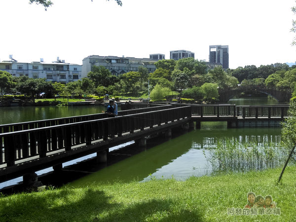 龍潭大池25-木棧道
