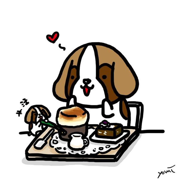 10726736_10204956752672232_2001188876_n