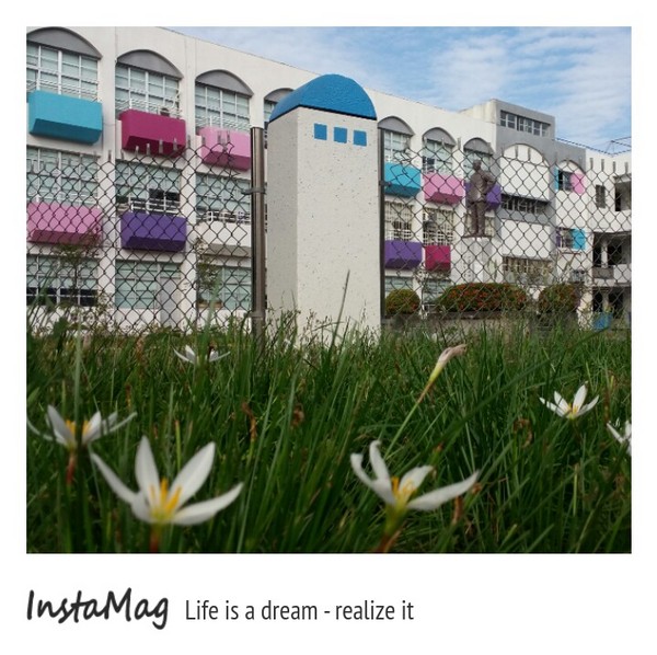 內新國小：【台中景點】內新國小