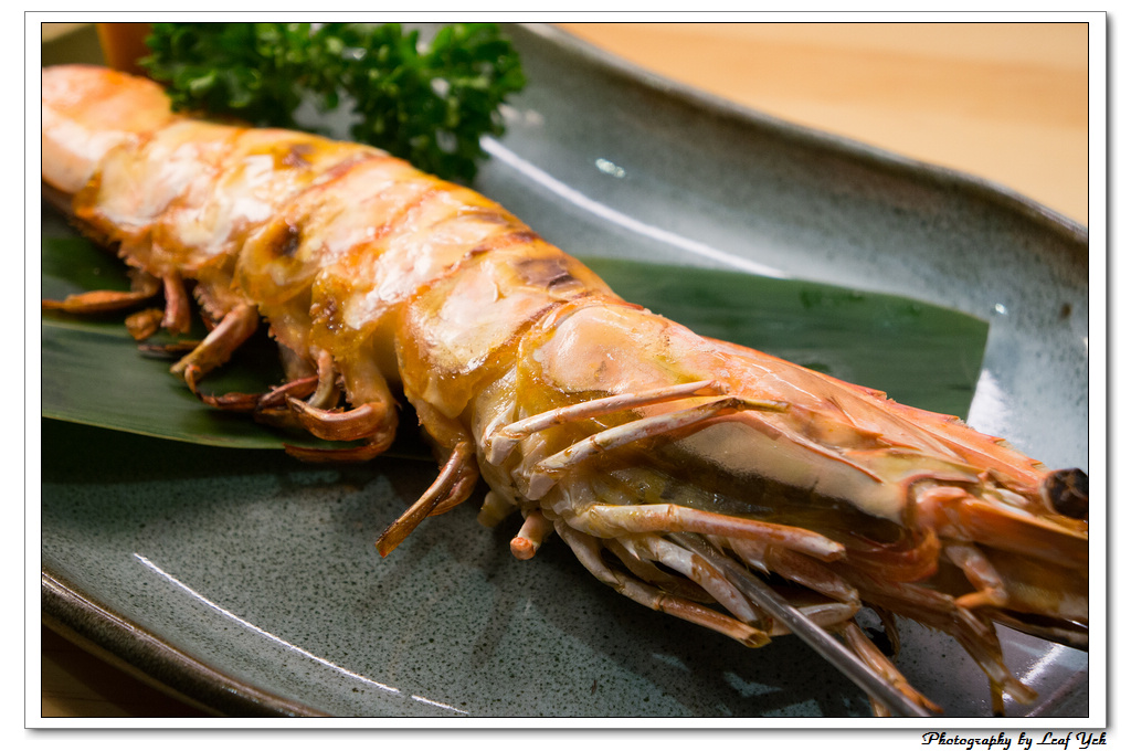 葉影瓶像版權所有