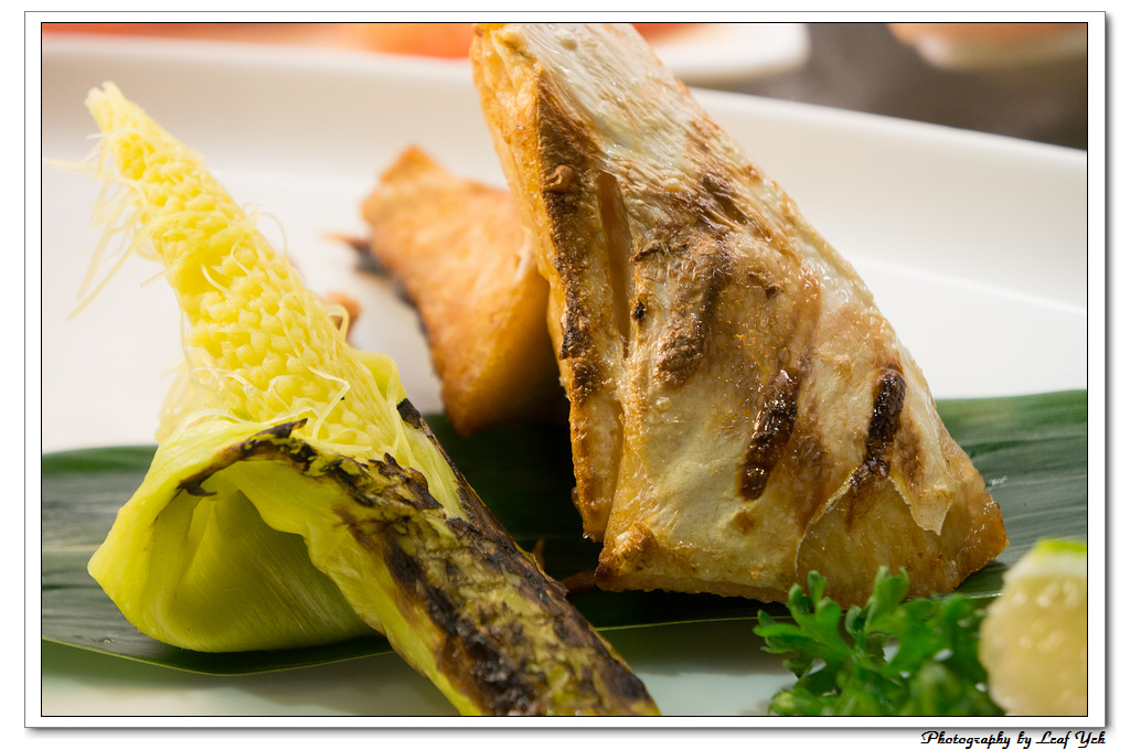 葉影瓶像版權所有