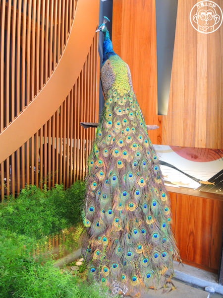 炙牛食創堂Flaming Bull：呷飽祙【台中西區･炙牛食創堂 Flaming Bull】宴客級的台灣美味