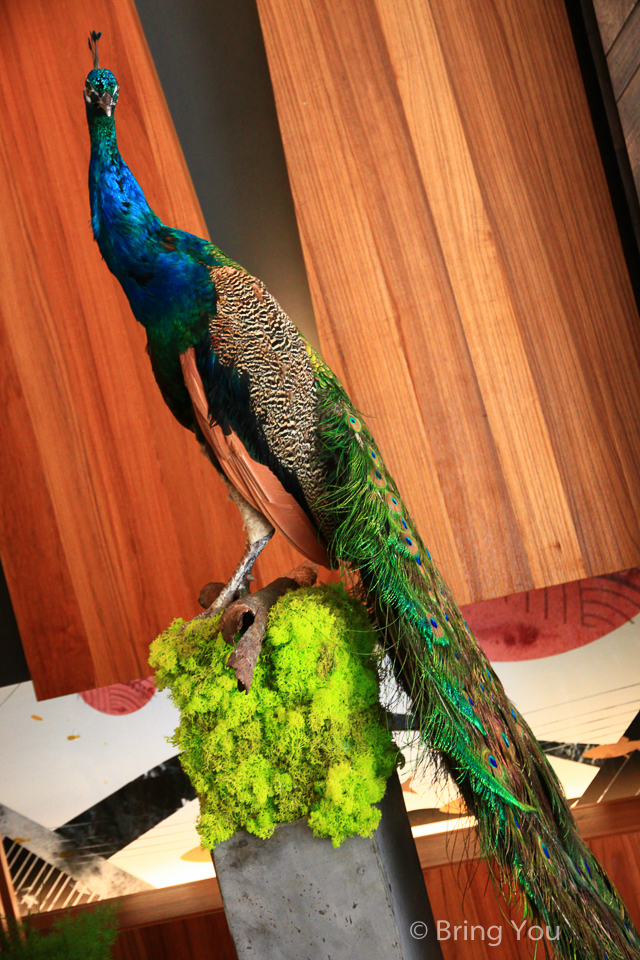 炙牛食創堂Flaming Bull:【台中餐廳】氣氛佳、適合坐下來靜靜用餐 ☞ 炙牛食創堂