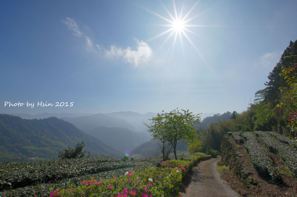 隙頂生力農場二館銪茗堂