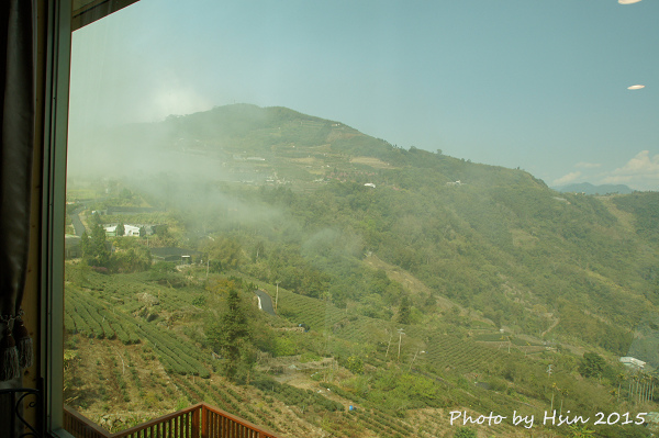 隙頂生力農場二館銪茗堂