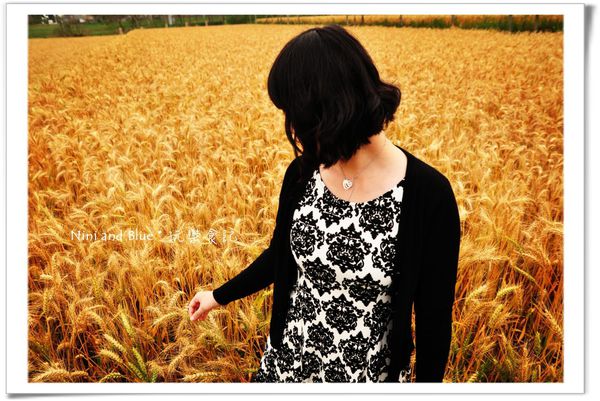 大雅麥田照18.jpg