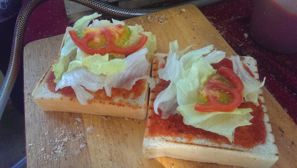 Luhica's：[台南]手工漢堡肉 自己的餐車自己追系列 Luhica's