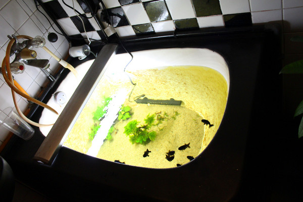 公不一漢堡店「這是一間漢堡店」：[台南]手工漢堡肉 大口吃肉的滿足 公不一漢堡店「這是一間漢堡店」