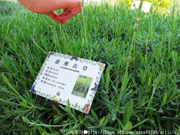 台鉅美妝觀光工廠(TJ COS):【旅行遊記。台南仁德區】台鉅美妝觀光工廠(邀稿文)。全台第一家彩妝專業觀光工廠 平價時尚玩美天堂