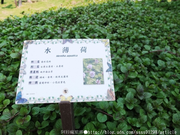 台鉅美妝觀光工廠(TJ COS):【旅行遊記。台南仁德區】台鉅美妝觀光工廠(邀稿文)。全台第一家彩妝專業觀光工廠 平價時尚玩美天堂