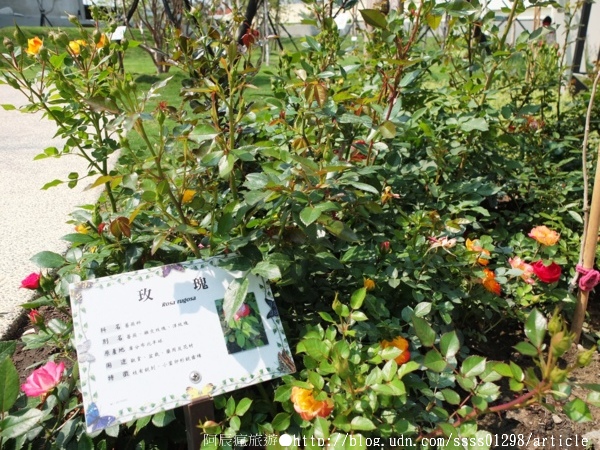 台鉅美妝觀光工廠(TJ COS):【旅行遊記。台南仁德區】台鉅美妝觀光工廠(邀稿文)。全台第一家彩妝專業觀光工廠 平價時尚玩美天堂