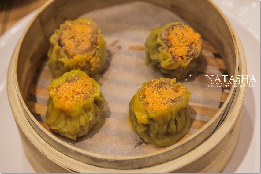 IMG_9269 - 複製P16