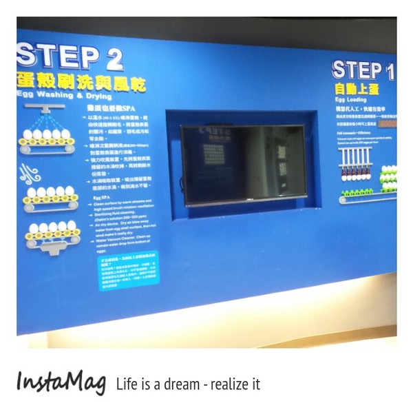 勤億蛋品夢工廠：嘉義新亮點以蛋為主題的觀光工廠~勤億蛋品夢工廠