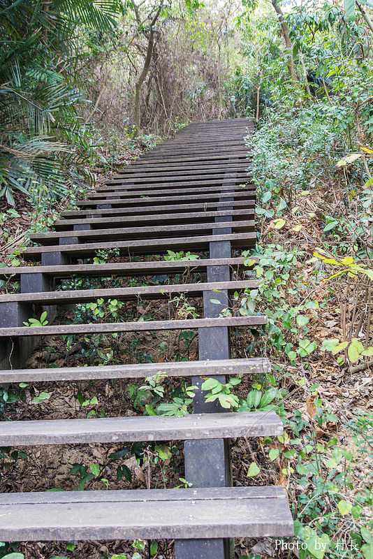 柴山步道:【遊記】{高雄。鼓山區}與猴子一起在柴山步道大健走