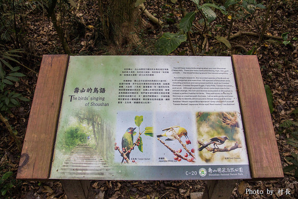 柴山步道:【遊記】{高雄。鼓山區}與猴子一起在柴山步道大健走