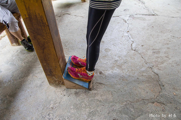 柴山步道:【遊記】{高雄。鼓山區}與猴子一起在柴山步道大健走