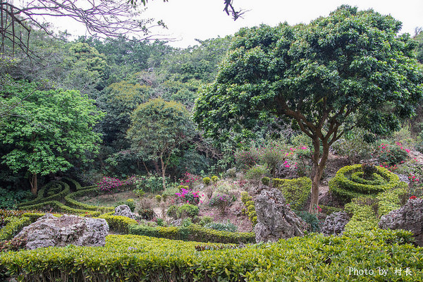 柴山步道:【遊記】{高雄。鼓山區}與猴子一起在柴山步道大健走