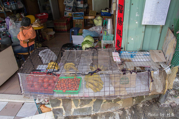 柴山步道:【遊記】{高雄。鼓山區}與猴子一起在柴山步道大健走