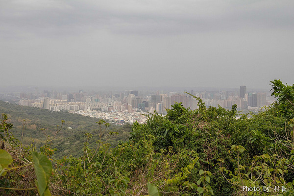柴山步道:【遊記】{高雄。鼓山區}與猴子一起在柴山步道大健走