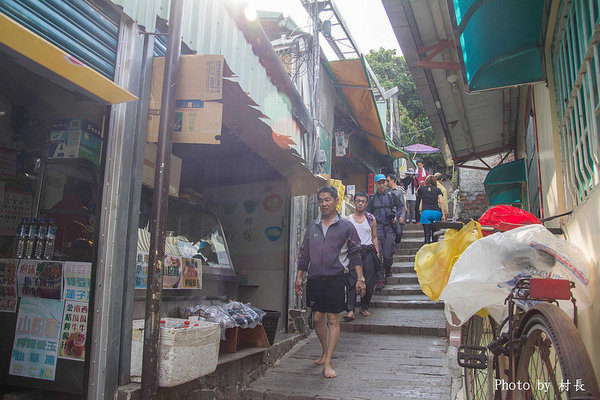 柴山步道:【遊記】{高雄。鼓山區}與猴子一起在柴山步道大健走