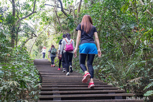 柴山步道:【遊記】{高雄。鼓山區}與猴子一起在柴山步道大健走