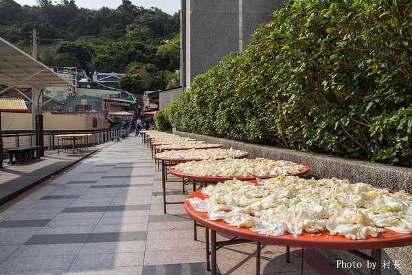 柴山步道:【遊記】{高雄。鼓山區}與猴子一起在柴山步道大健走