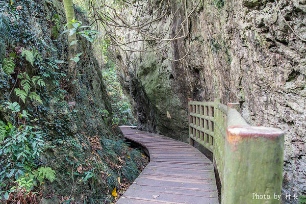 柴山步道:【遊記】{高雄。鼓山區}與猴子一起在柴山步道大健走