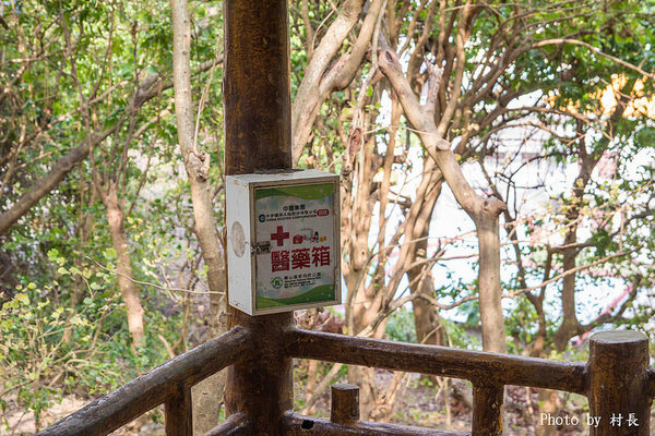 柴山步道:【遊記】{高雄。鼓山區}與猴子一起在柴山步道大健走