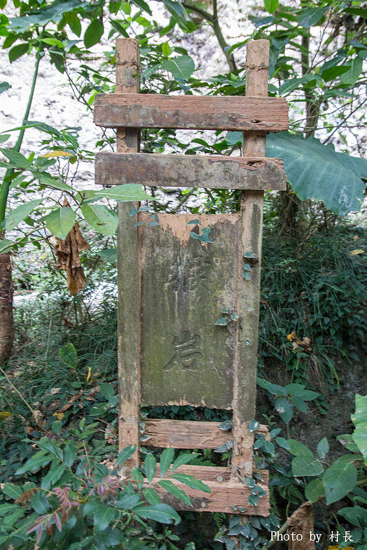 柴山步道:【遊記】{高雄。鼓山區}與猴子一起在柴山步道大健走