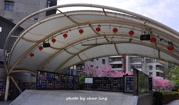 土城希望之河-3.JPG - 2016春暖花開