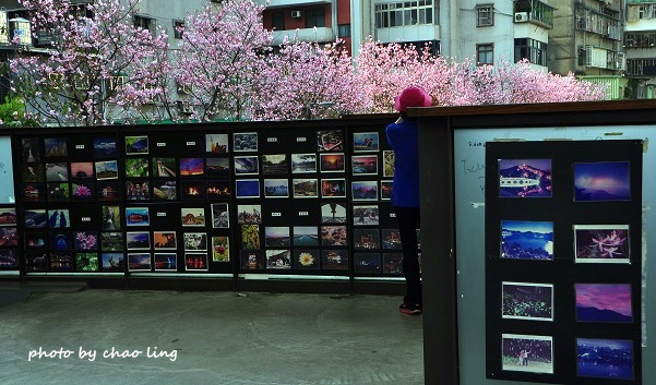 土城希望之河-4.JPG - 2016春暖花開